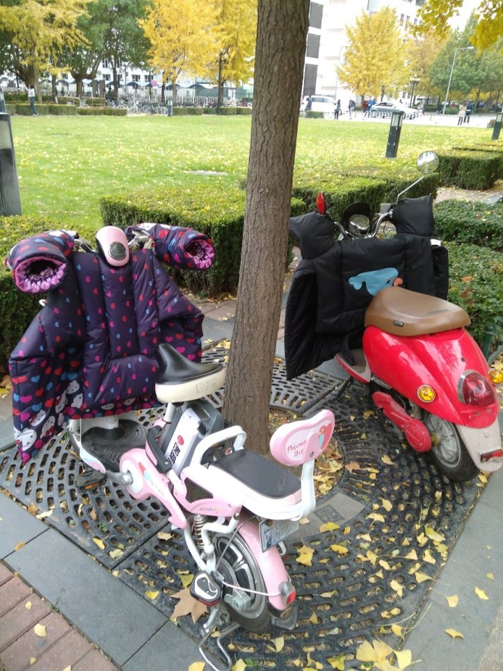 img_20161106_154025580